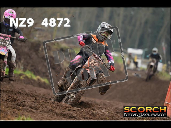 Experts-347