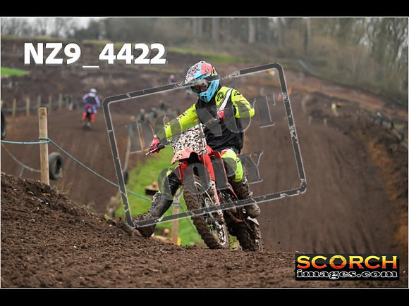 Experts-264