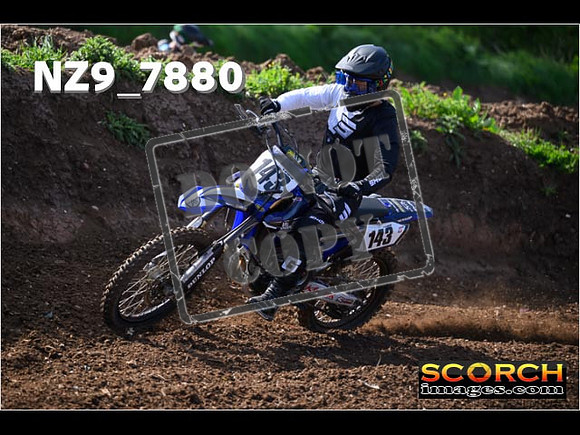 InterBlue-111