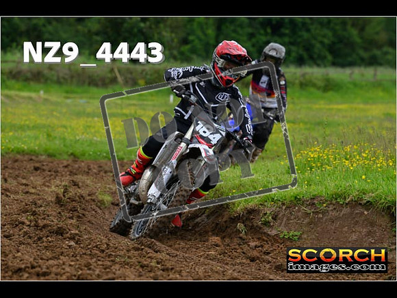 Experts-162
