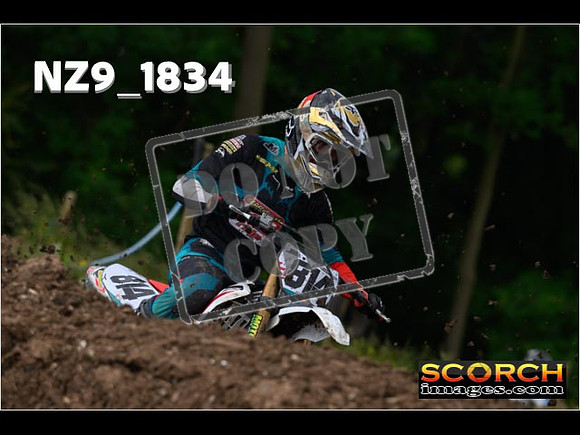 Experts-055