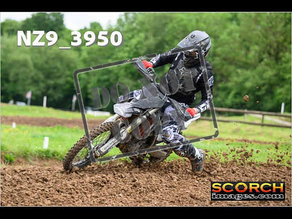 Experts-058