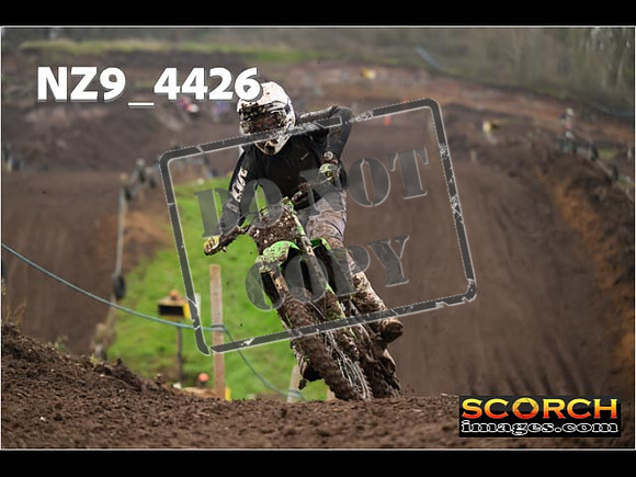 Experts-268