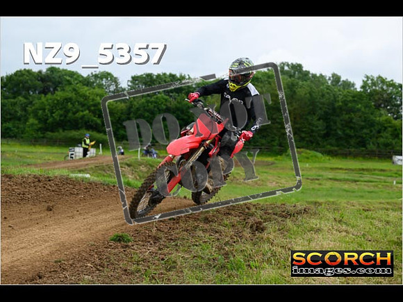 Experts-293