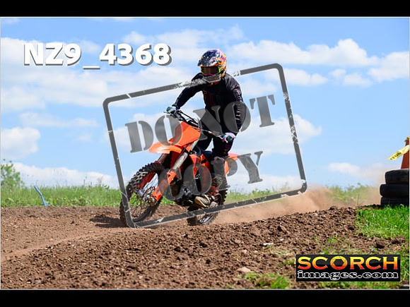 InterGreen-267
