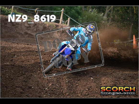 Experts-028