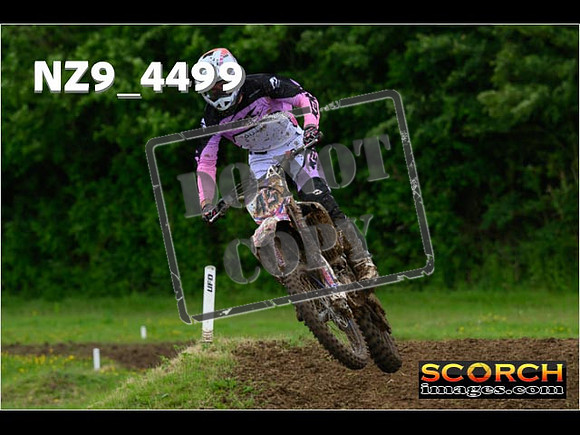 Experts-216