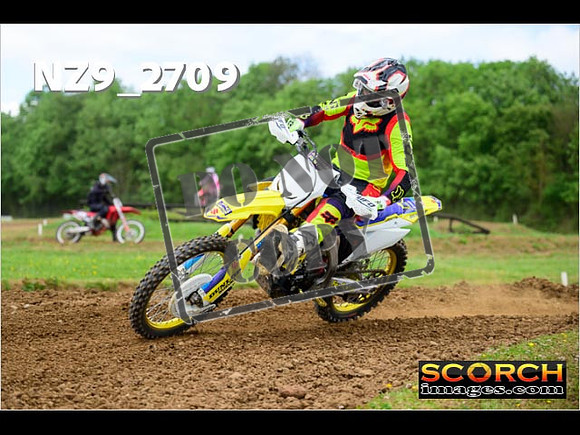 Novice-298