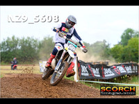 Experts-012