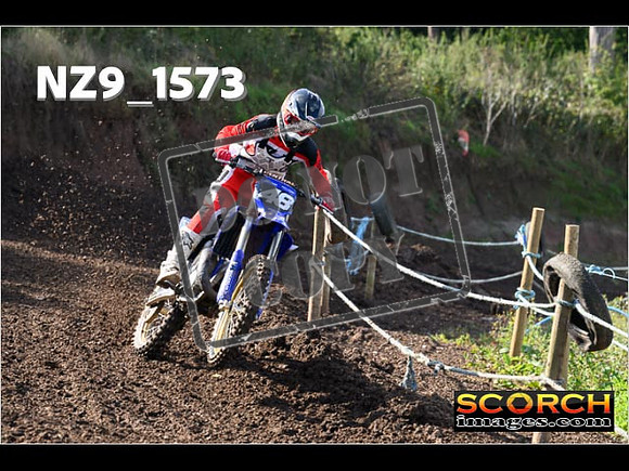 Experts-256