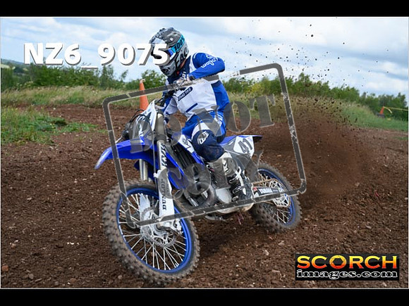 Experts-140