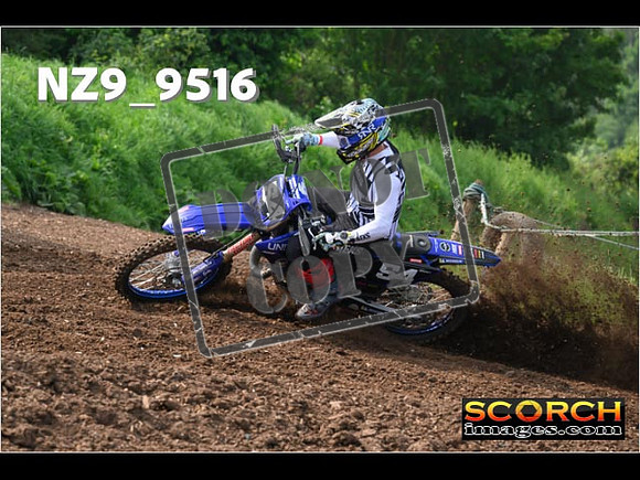 Experts-038