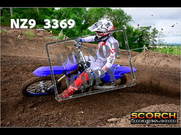 Experts-012