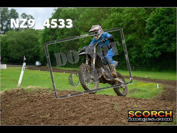 Experts-250