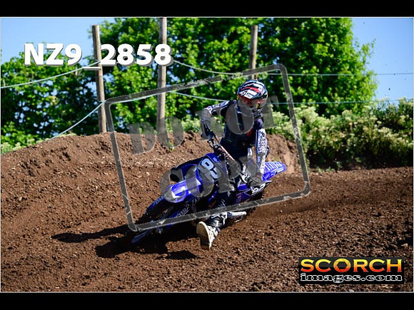 Experts-033