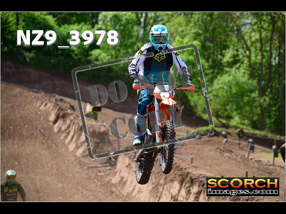 InterGreen-259