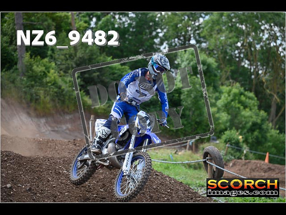 Experts-246