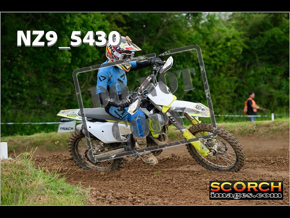 Experts-361