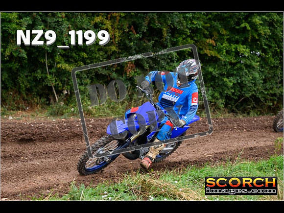 Experts-078