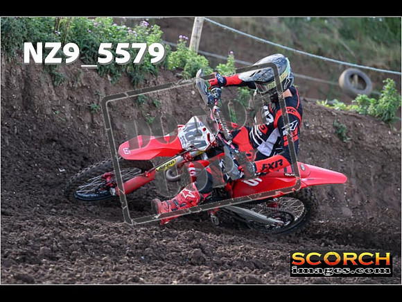 Experts-106