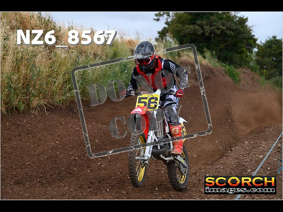 Experts-087