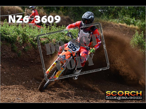 Experts-036