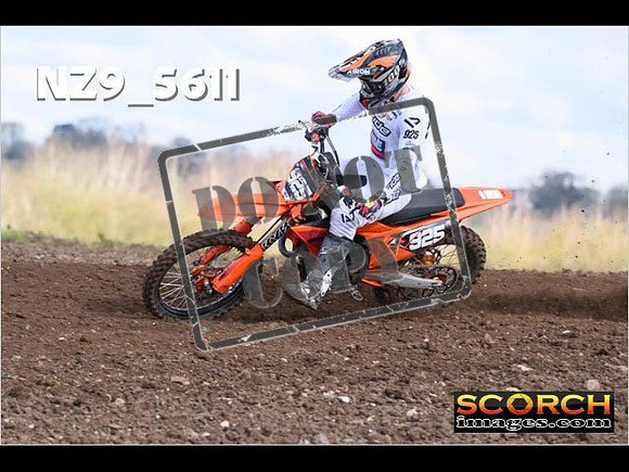 Experts-119