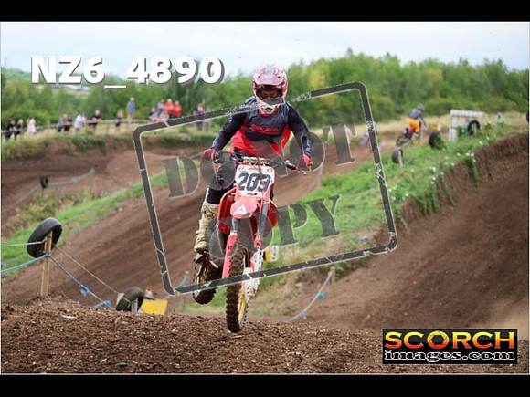 Experts-086