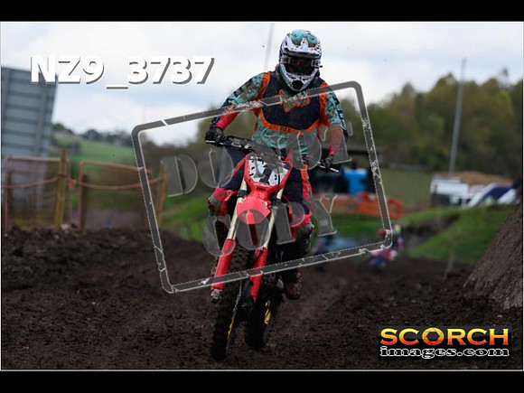 Inters-509