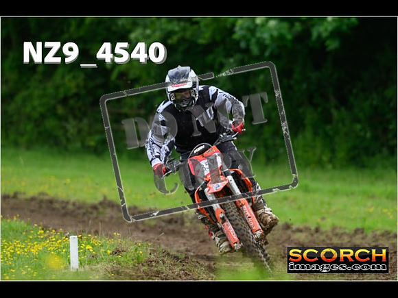 Experts-257