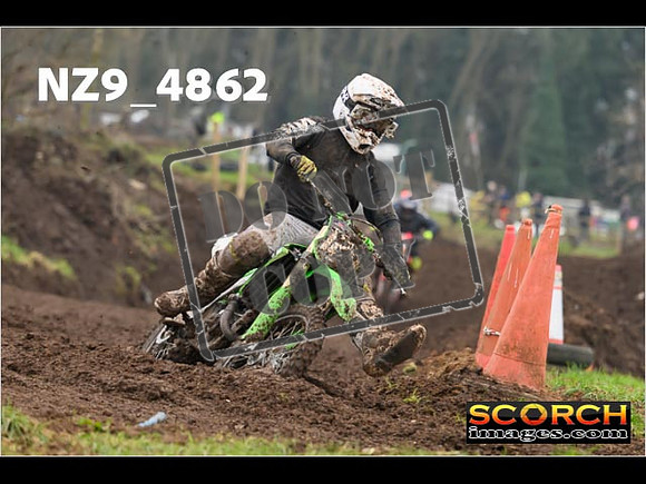 Experts-338