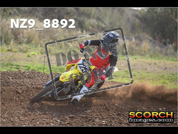 Experts-097