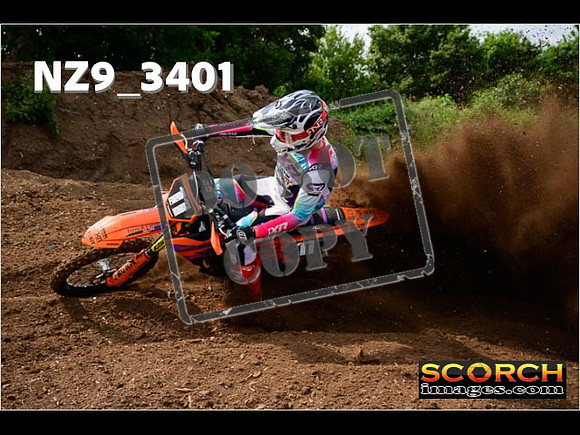 Experts-035