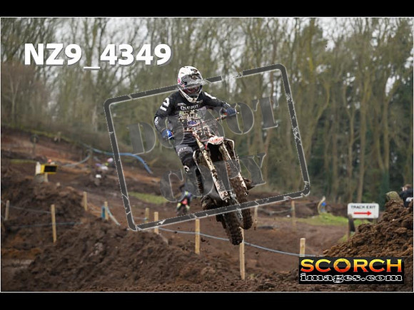 Experts-196