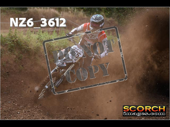 Experts-039