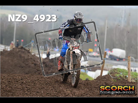 Experts-393