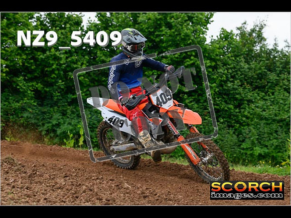 Experts-343