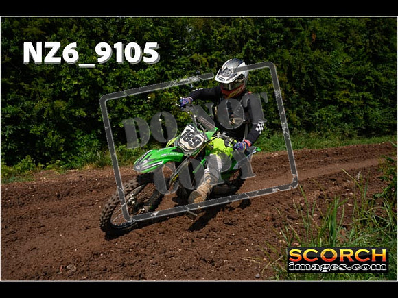 Experts-169
