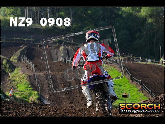 Experts-118