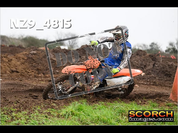 Experts-291