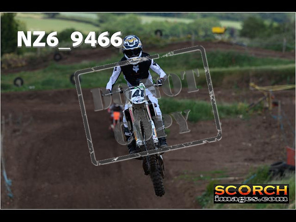 Experts-231