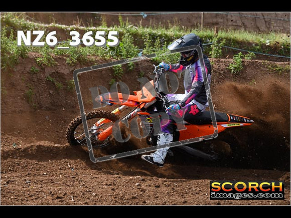 Experts-081