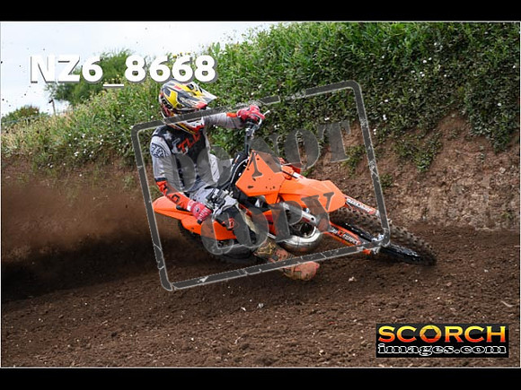 Experts-079