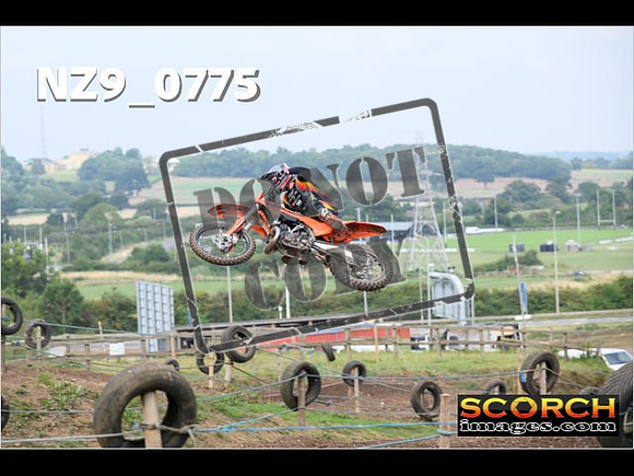 Experts-131