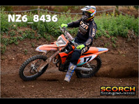 InterGreen-019