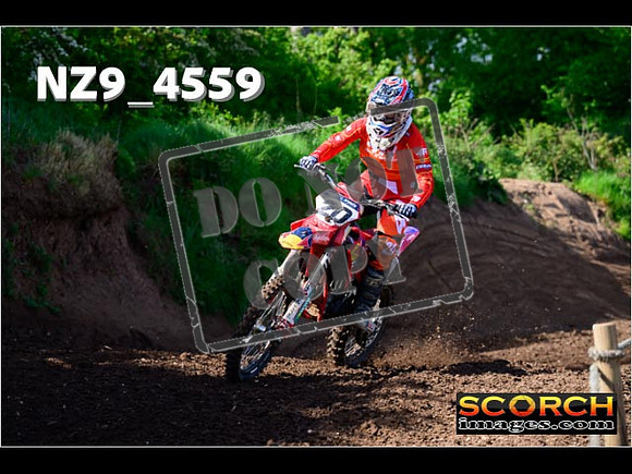 Experts-066