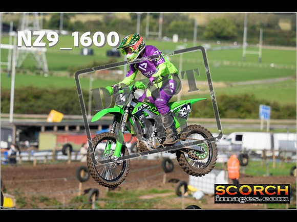 Experts-282