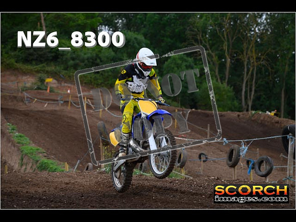 Experts-058
