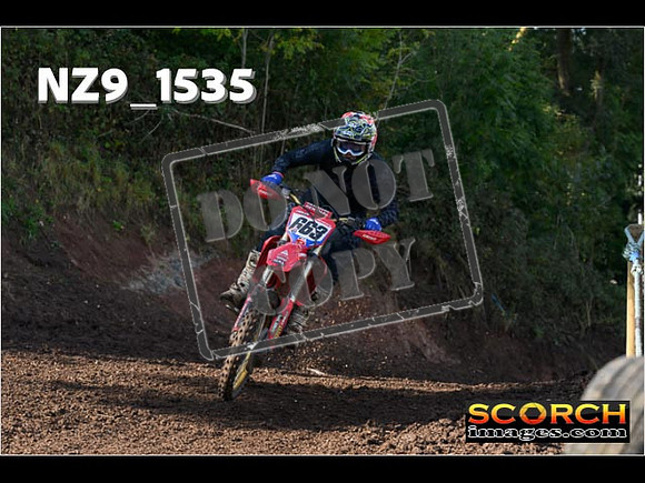 Experts-221