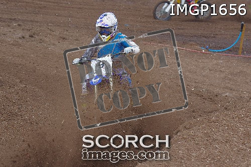 IMGP1656